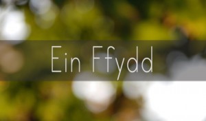 ein ffydd